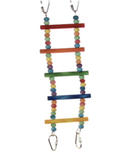 Adventure Bound Flexible Colour Parrot Cage Ladder Toy - Medium